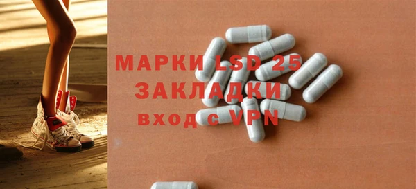 PSILOCYBIN Алзамай