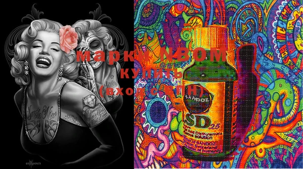 PSILOCYBIN Алзамай