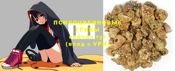 дмт Данков