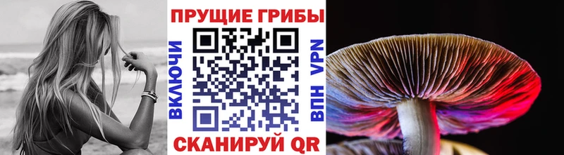 blacksprut   Лобня  Галлюциногенные грибы MAGIC MUSHROOMS 